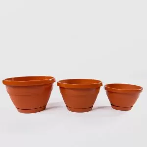 Ghiveci Lalea 20cm 24cm 27cm