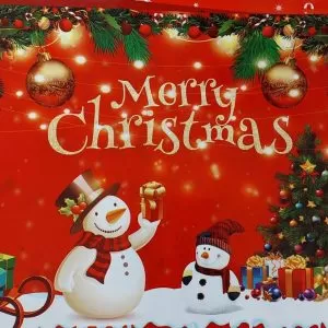 Șervețel masă PVC gros