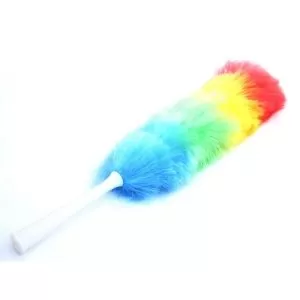 Desprafuitor electrostatic